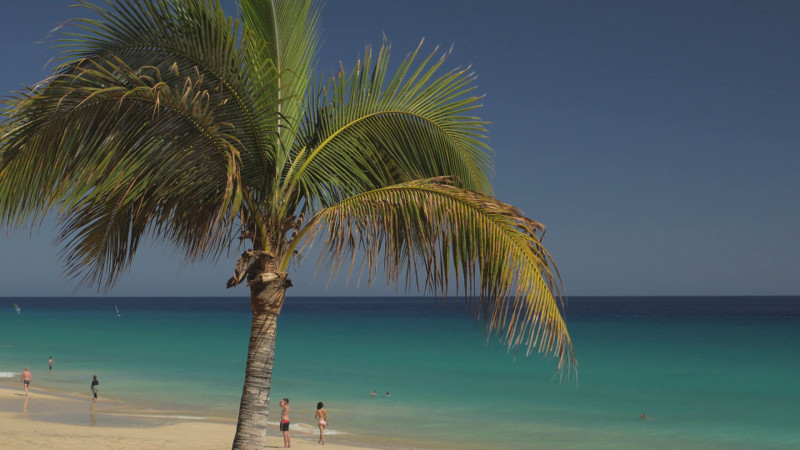 Fuerteventura in 4k Video